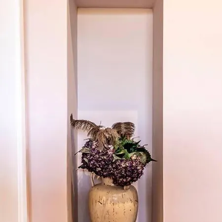 Hall View Guest *